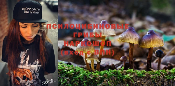 PSILOCYBIN Балабаново