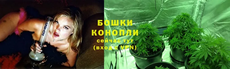 Бошки марихуана Ganja  цена   hydra вход  Пермь 